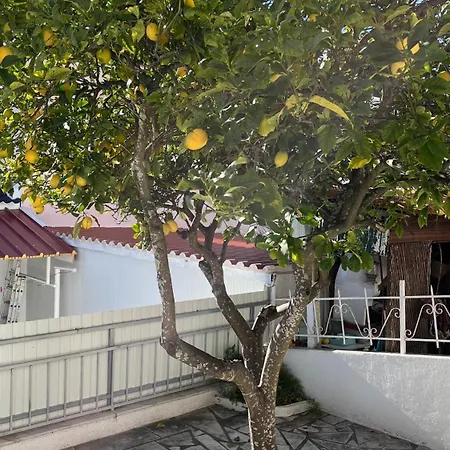 Cantinho Do Moinho, Cozy Just 15 Minutes From The 招待所 克洛伊奥斯